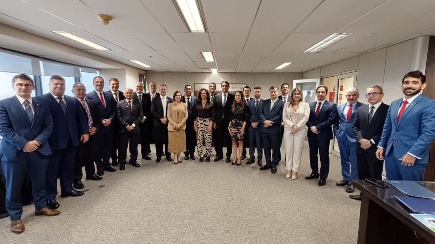 Conselho Deliberativo da CONAMP discute estratégias de atuação sobre a PEC da Segurança Pública e a Reforma Administrativa